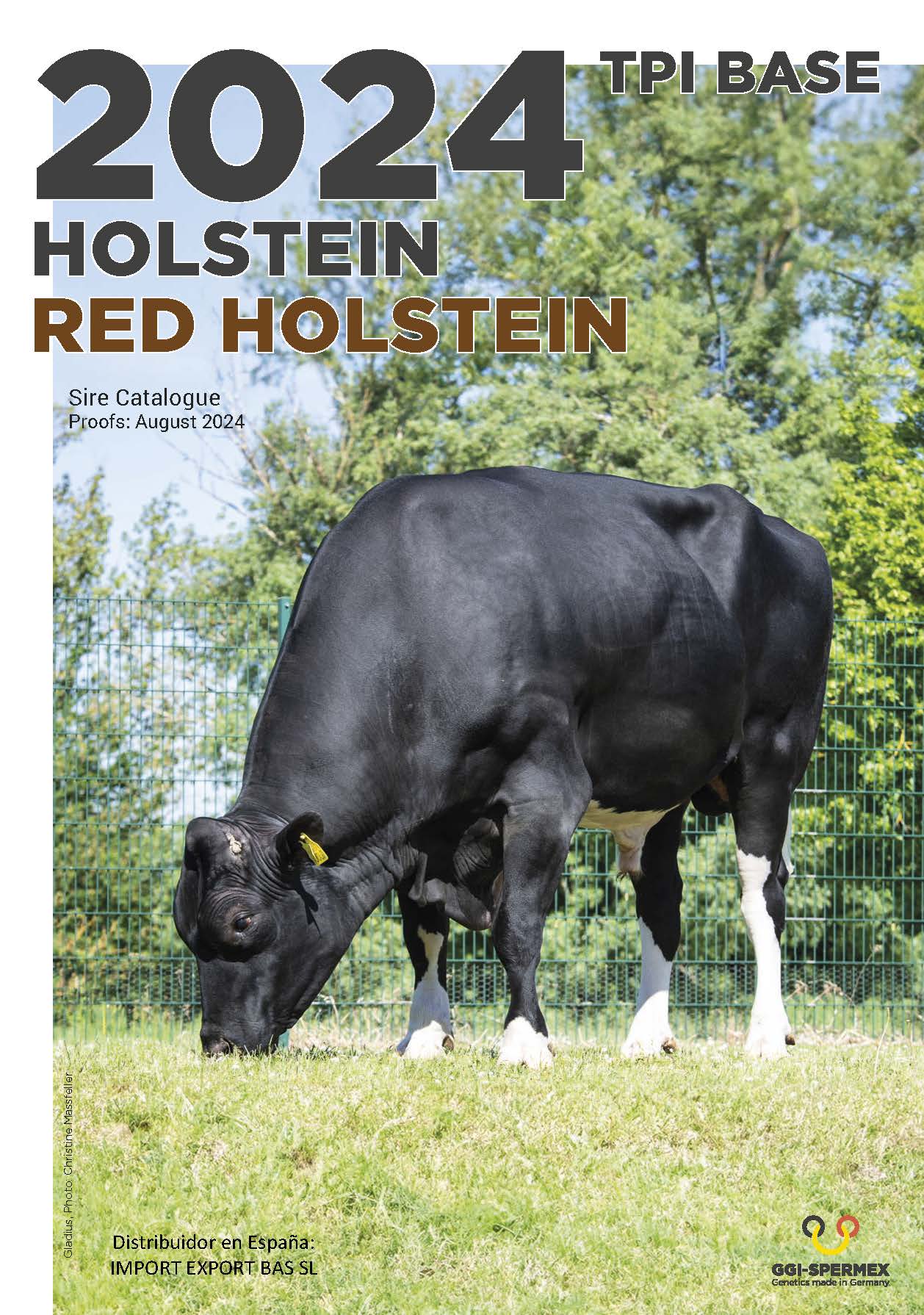 BAS·GGI - SPERMEX - CATALOGO HOLSTEIN 2024
